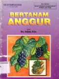 Bertanam anggur