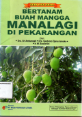 Bertanam buah mangga Manalagi di pekarangan