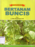 Bertanam buncis