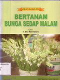 Bertanam bunga sedap malam