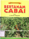 Bertanam cabai