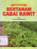 Bertanam cabai rawit