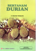 Bertanam durian