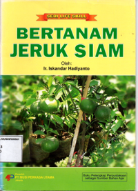 Bertanam jeruk siam