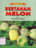 Bertanam melon