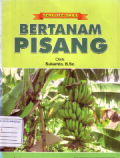 Bertanam pisang
