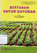 Bertanam sayur - sayuran