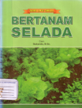 Bertanam selada