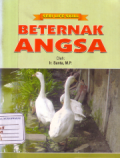 Beternak angsa