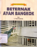 Beternak ayam Bangkok