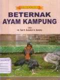 Beternak Ayam kampung