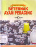 Beternak ayam pedaging
