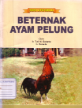 Beternak ayam Pelung