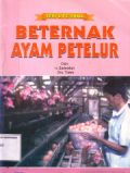 Beternak ayam petelur
