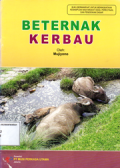 Beternak kerbau