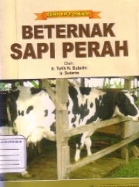 Beternak Sapi Perah
