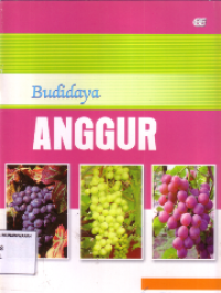 Budidaya anggur