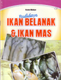 Budidaya ikan belanak dan ikan mas