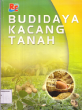 Budidaya kacang tanah