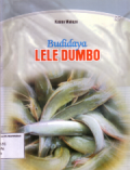Budidaya lele dumbo