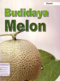 Budidaya melon