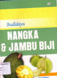 Budidaya nangka dan jambu biji