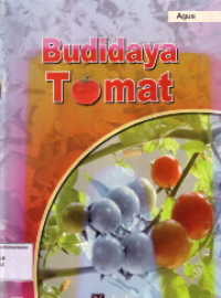 Budidaya Tomat