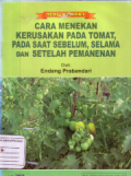 Cara menekan kerusakan pada tomat, pada saat sebelum selama dan setelah pemanenan
