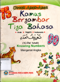 Untuk Anak-Anak Kamus Bergambar Tiga Bahasa: Knowing Numbers (Mengenal Angka)