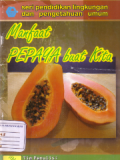 Manfaat pepaya buat kita