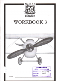 English (Workbook 3)