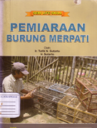 Pemiaraan burung merpati