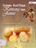 Sukses budidaya kentang dan jamur