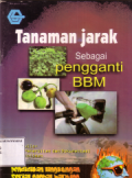 Tanaman jarak sebagai pengganti BBM