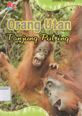 Orang utan Tanjung Puting