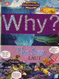 Why? Laut